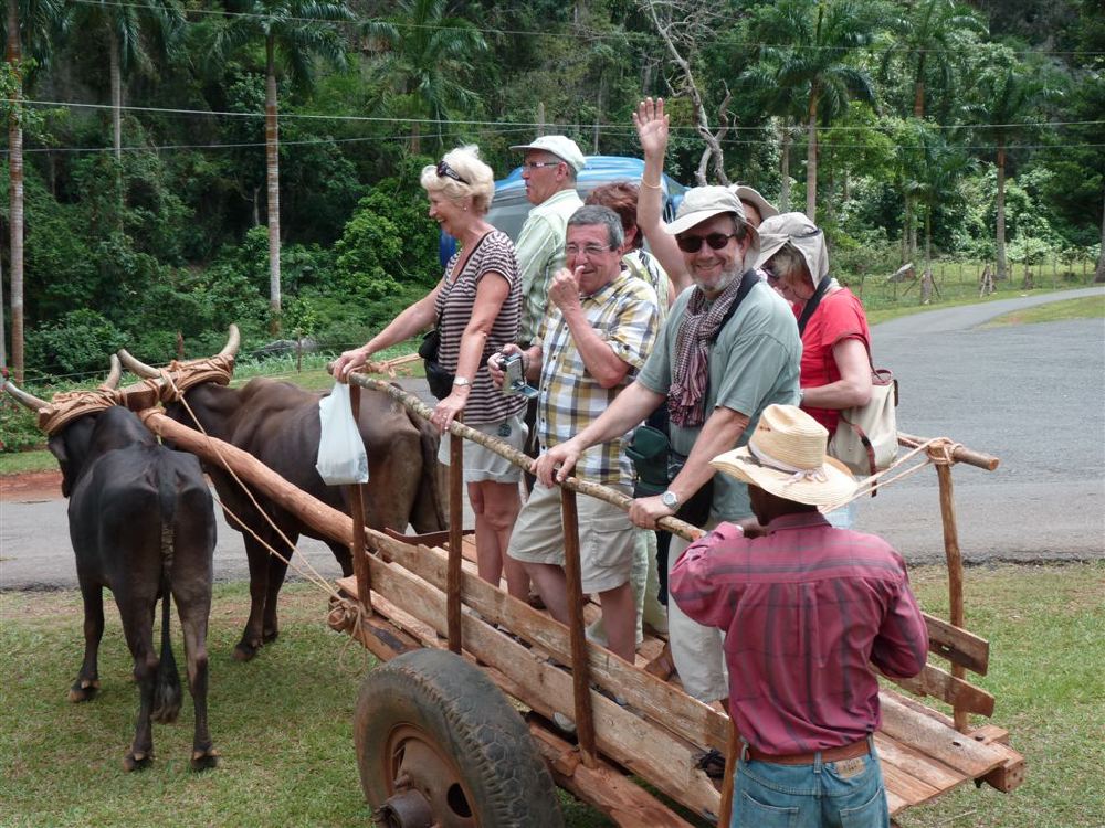 204_-_cuba_02_origin_165a4a.jpg